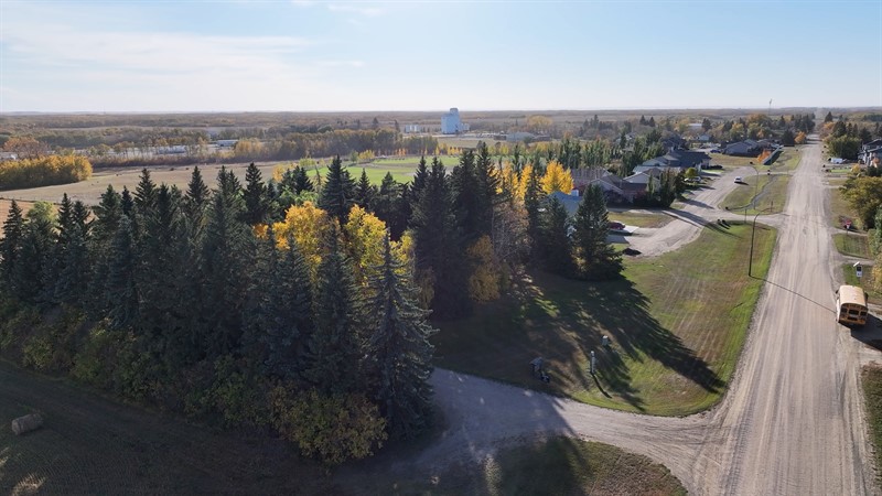 Town of Borden Drone Photo
